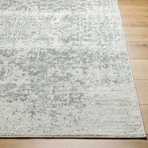 Livabliss Harput Medallion Polypropylene Area Rug Machine Woven in Turkey for Large Living Spaces Charcoal, Mediu 2'7" x 20' HAP1024-2720