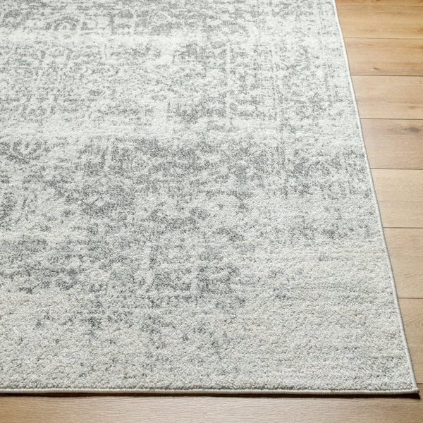 Livabliss Harput Medallion Polypropylene Area Rug Machine Woven in Turkey for Large Living Spaces Charcoal, Mediu 2'7" x 20' HAP1024-2720