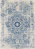 Harput HAP-1025 6'7" x 9' Machine Woven Rug HAP1025-679 Livabliss Surya