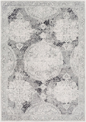 Livabliss Harput Traditional Turkish Polypropylene Area Rug for Living Room Entryway Accent Medium Gray, Iv 3'11" x 5'7" HAP1041-31157