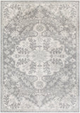 Harput HAP-1070 5'3" x 7'3" Machine Woven Rug HAP1070-5373 Livabliss Surya