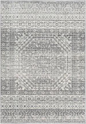 Livabliss Harput Traditional Medallion Polypropylene Area Rug for Living Room or Bedroom Medium Gray, Ch 3'11" x 5'7" HAP1080-31157