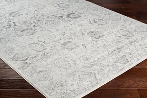 Livabliss Harput Medallion Geometric Area Rug Machine Woven Polypropylene for Entryways and Kitchens Charcoal, Light 2' x 2'11" HAP1091-23