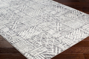 Livabliss Harput Global Geometric Polypropylene Accent Rug Turkish Woven Entryway Layering Piece HAP1093-23