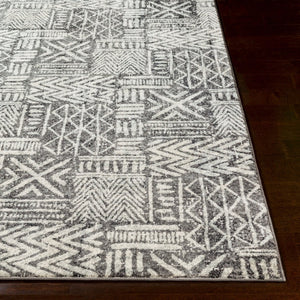 Livabliss Harput Global Geometric Polypropylene Accent Rug Turkish Woven Entryway Layering Piece HAP1093-23
