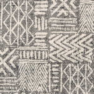 Livabliss Harput Global Geometric Polypropylene Accent Rug Turkish Woven Entryway Layering Piece HAP1093-23
