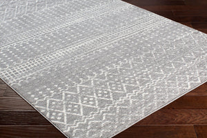 Livabliss Harput Moroccan Geometric Polypropylene Accent Rug Woven in Turkey for Entryways Charcoal, Light 2'7" x 7'3" HAP1096-2773