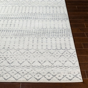 Livabliss Harput Moroccan Geometric Runner Rug Machine Woven Polypropylene Hallway Accent HAP1097-2773