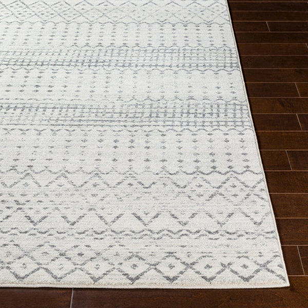 Livabliss Harput Moroccan Geometric Runner Rug Machine Woven Polypropylene Hallway Accent HAP1097-2773