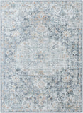 Harput HAP-1164 8'10" x 12'6" Machine Woven Rug HAP1164-93126 Livabliss Surya