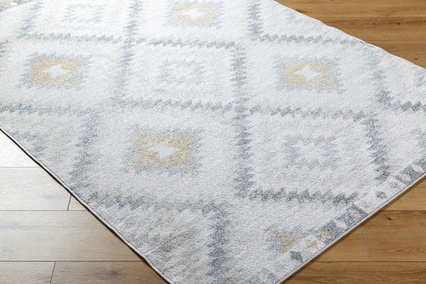 Livabliss Harput Geometric Southwestern Polypropylene Area Rug for Living Room or Dining Space HAP1166-93126
