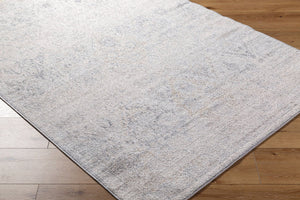Livabliss Harput Traditional Medallion Polypropylene Area Rug for Formal Living and Dining Rooms HAP1167-93126