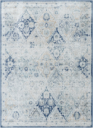 Harput HAP-1169 8'10" x 12'6" Machine Woven Rug HAP1169-93126 Livabliss Surya