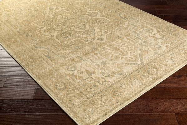 Livabliss Hathaway Traditional Polypropylene Area Rug Egyptian Woven Living Room Accent HAT3000-810129
