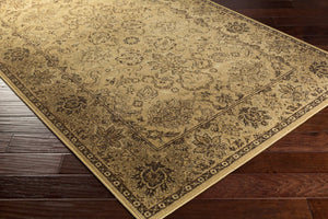 Livabliss Hathaway Traditional Polypropylene Area Rug Egyptian Woven Medium Pile Living Room HAT3005-810129