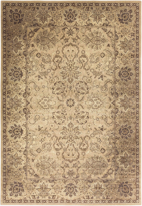 Livabliss Hathaway Traditional Polypropylene Area Rug Egyptian Woven Medium Pile Living Room HAT3005-810129