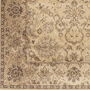 Livabliss Hathaway Traditional Polypropylene Area Rug Egyptian Woven Medium Pile Living Room HAT3005-810129