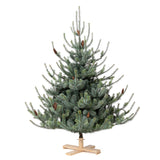 Park Hill Blue Spruce Christmas Tree