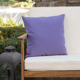 Christopher Knight Home® Noble House Coronado Square Pillow