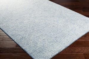 Livabliss Halcyon Hand Tufted Wool Viscose Rug Lustrous Sheen Dimensional Texture Entryway Accent Gray, Cream 2' x 3' HCY2302-23