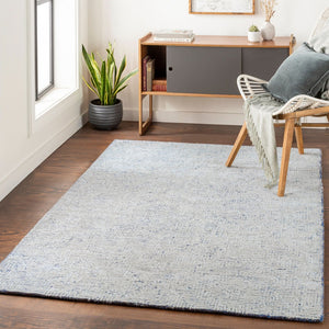 Livabliss Halcyon Hand Tufted Wool Viscose Rug Lustrous Sheen Dimensional Texture Entryway Accent Gray, Cream 2' x 3' HCY2302-23