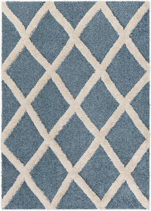 Livabliss Hudson Shag Plush Machine Woven Turkish Rug for Living Room and Primary Bedroom HDS2301-9212