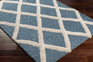 Livabliss Hudson Shag Plush Machine Woven Turkish Rug for Living Room and Primary Bedroom HDS2301-9212
