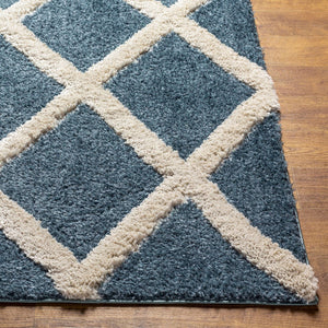 Livabliss Hudson Shag Plush Machine Woven Turkish Rug for Living Room and Primary Bedroom HDS2301-9212