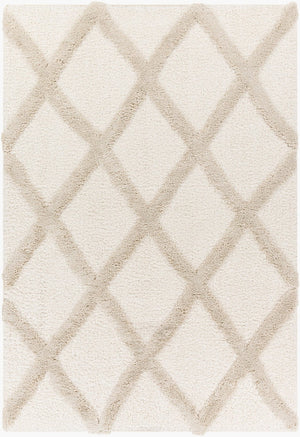 Livabliss Hudson Shag Area Rug Plush Polyester Pile Machine Woven for Living Room Comfort HDS2306-9212