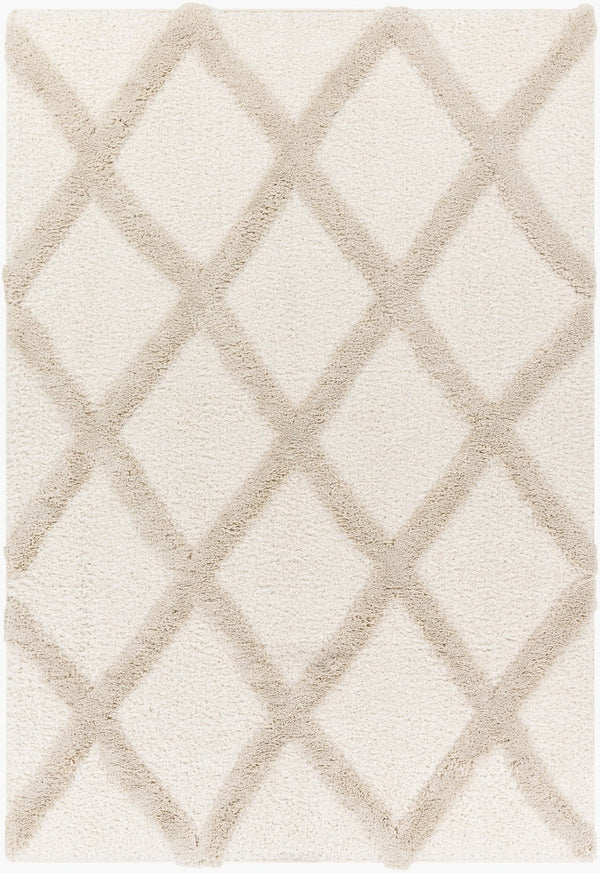 Livabliss Hudson Shag Area Rug Plush Polyester Pile Machine Woven for Living Room Comfort HDS2306-9212