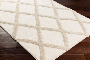 Livabliss Hudson Shag Area Rug Plush Polyester Pile Machine Woven for Living Room Comfort HDS2306-9212