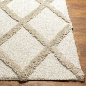 Livabliss Hudson Shag Area Rug Plush Polyester Pile Machine Woven for Living Room Comfort HDS2306-9212