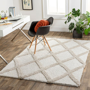 Livabliss Hudson Shag Area Rug Plush Polyester Pile Machine Woven for Living Room Comfort HDS2306-9212
