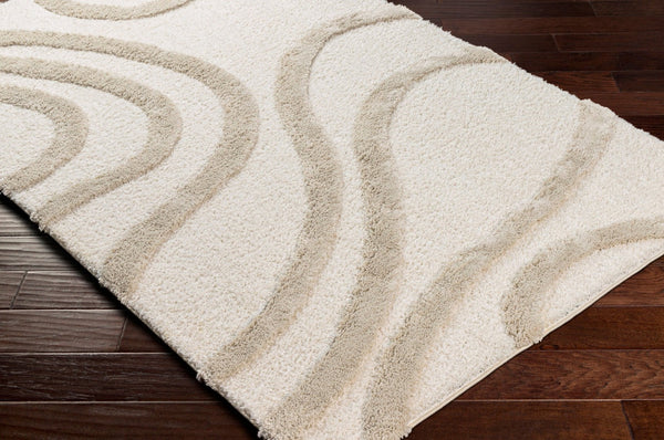Livabliss Hudson Shag Plush Polyester Blend Area Rug for Living Room and Primary Bedroom HDS2310-9212
