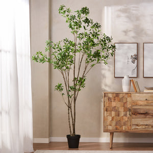 English Elm 240cmartificial Pieris Tree Lifelike Cascading Foliage Tall Indoor Botanical Accent 74348.00
