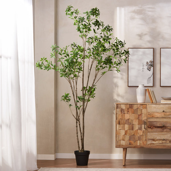 English Elm 240cmartificial Pieris Tree Lifelike Cascading Foliage Tall Indoor Botanical Accent 74348.00