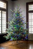 Park Hill Blue Spruce Christmas Tree, 7.5' Clear and Multi Lights XPQ82169 Park Hill