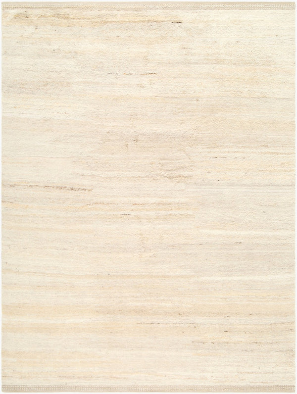 Surya Herat Hand Knotted Wool Area Rug Plush High Pile Cottage Style Living Room Accent 10' x 14' Rectangle HET2306-1014