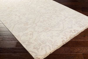 Surya Hillcrest Hand-knotted New Zealand Wool Accent Rug with Fringe Transitional Style HIL9040-23