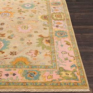 Hillcrest HIL-9043 8' x 11' Handmade Rug HIL9043-811  Dusty Pink, Light Brown, Sky Blue, Olive, Brown, Navy Surya