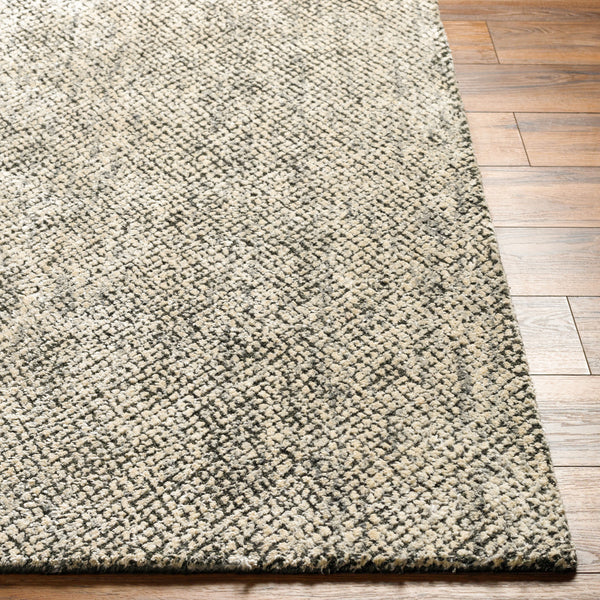 Helen HLE-2308 9' x 12' Handmade Rug HLE2308-912  Beige, Taupe, Black Surya