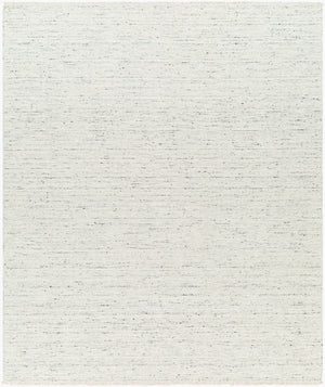 Surya Hamburg 2' X 3' Handmade Wool Rug - Modern Elegance With Stylish Fringe & Easy Maintenance For Comfort Ivory Wool Hmb2300-23