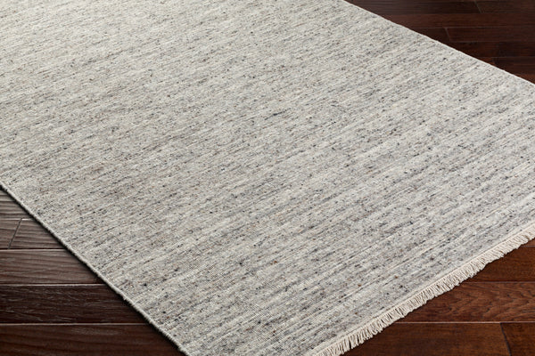 Hamburg HMB-2301 9' x 12' Handmade Rug HMB2301-912  Medium Gray, Light Gray, Oatmeal Surya