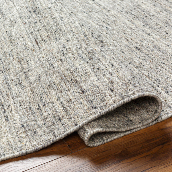 Hamburg HMB-2301 9' x 12' Handmade Rug HMB2301-912  Medium Gray, Light Gray, Oatmeal Surya