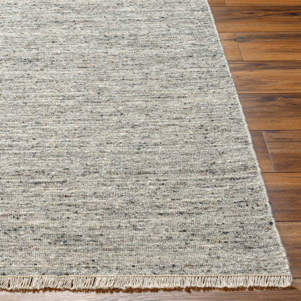 Hamburg HMB-2301 9' x 12' Handmade Rug HMB2301-912  Medium Gray, Light Gray, Oatmeal Surya