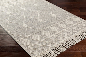 Livabliss Hemingway Flatweave Wool Blend Rug Handwoven Fringed Global Artisan Floor Accent Ivory, Black 5' x 8' HMG2301-58