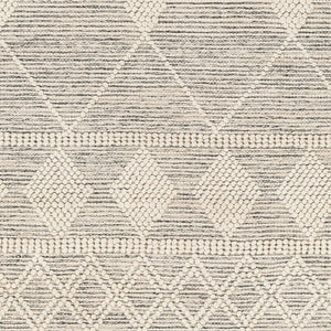 Livabliss Hemingway Flatweave Wool Blend Rug Handwoven Fringed Global Artisan Floor Accent Ivory, Black 5' x 8' HMG2301-58