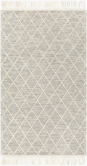 Livabliss Hemingway Flatweave Handwoven Wool Blend Accent Rug for Entryways and Cottage Spaces Ivory, Black 27" x 45" HMG2302-2339