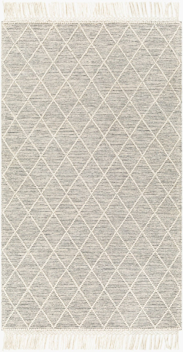 Livabliss Hemingway Flatweave Handwoven Wool Blend Accent Rug for Entryways and Cottage Spaces Ivory, Black 27" x 45" HMG2302-2339