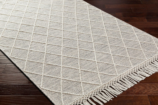 Livabliss Hemingway Flatweave Handwoven Wool Blend Accent Rug for Entryways and Cottage Spaces Ivory, Black 27" x 45" HMG2302-2339